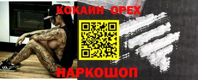 шишки Изобильный