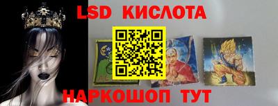 шишки Изобильный
