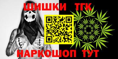шишки Изобильный
