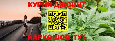 шишки Изобильный
