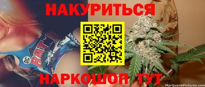 шишки Изобильный