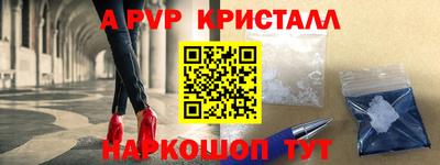 шишки Изобильный